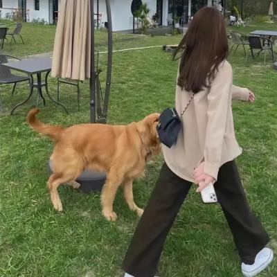 亲爱的客栈第一季
